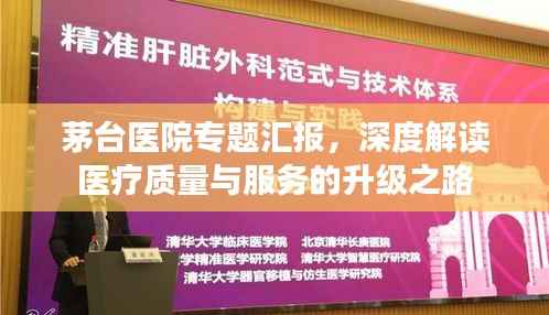 茅台医院专题汇报，深度解读医疗质量与服务的升级之路