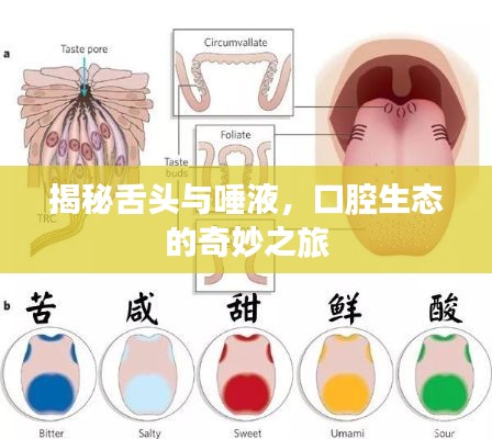 眉飞色舞 第4页