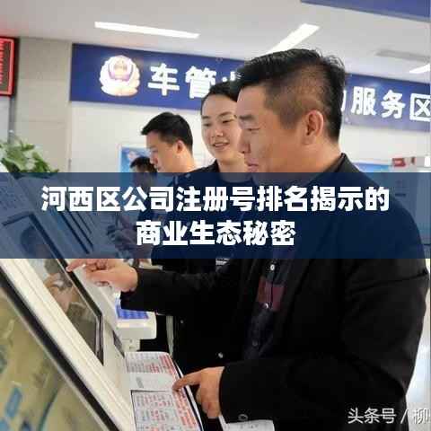 河西区公司注册号排名揭示的商业生态秘密