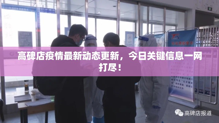高碑店疫情最新动态更新，今日关键信息一网打尽！