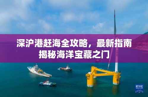 深沪港赶海全攻略,最新指南揭秘海洋宝藏之门
