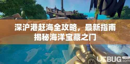 深沪港赶海全攻略,最新指南揭秘海洋宝藏之门