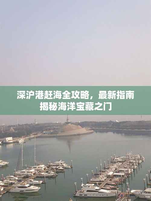 深沪港赶海全攻略,最新指南揭秘海洋宝藏之门