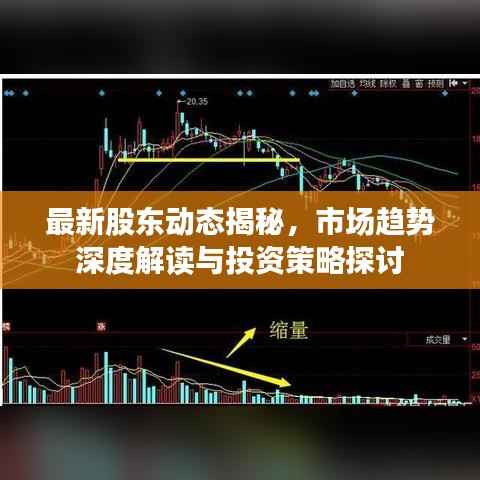 最新股东动态揭秘,市场趋势深度解读与投资策略探讨