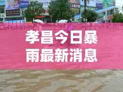 孝昌今日暴雨最新消息,实时更新,不容错过!