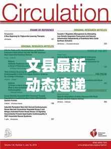 文县最新动态速递，今日热点消息一网打尽！