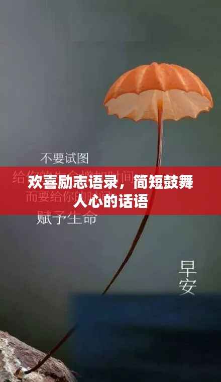 没张倒置 第4页