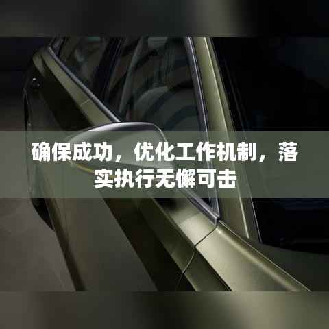 确保成功，优化工作机制，落实执行无懈可击