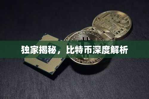 独家揭秘,比特币深度解析