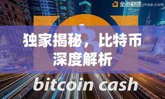 独家揭秘，比特币深度解析