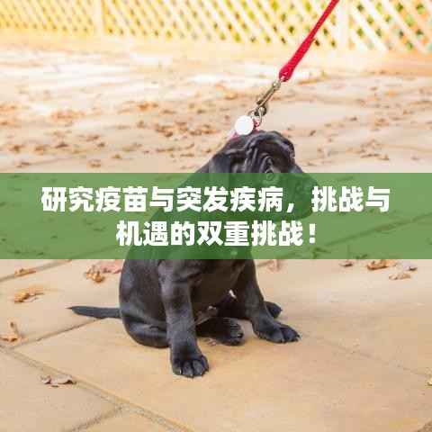 研究疫苗与突发疾病，挑战与机遇的双重挑战！