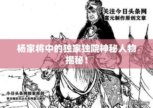 杨家将中的独家独院神秘人物揭秘！