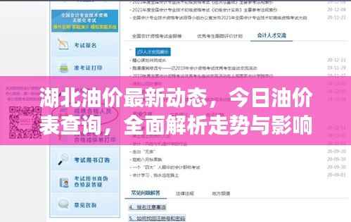 湖北油价最新动态，今日油价表查询，全面解析走势与影响因素