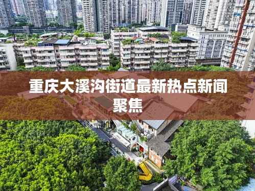 重庆大溪沟街道最新热点新闻聚焦