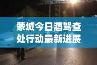 蒙城今日酒驾查处行动最新进展曝光