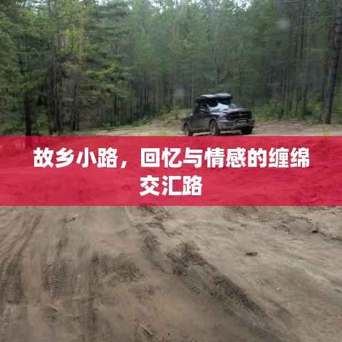 故乡小路，回忆与情感的缠绵交汇路