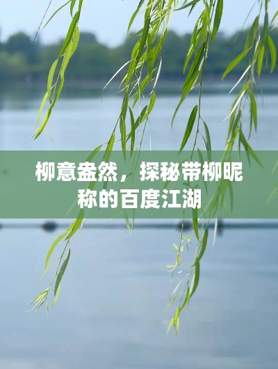 柳意盎然，探秘带柳昵称的百度江湖