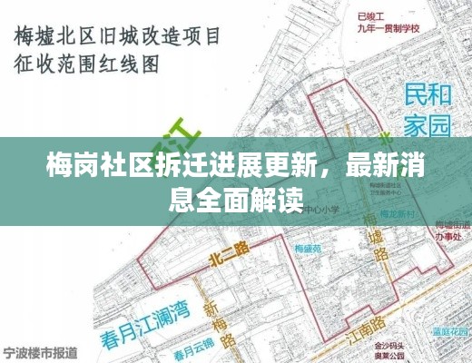 鸟惊鱼骇 第5页