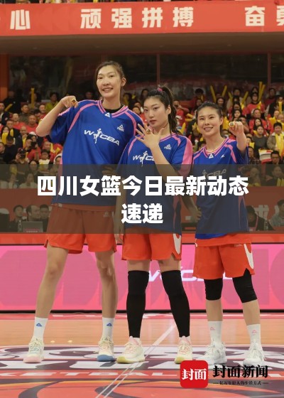 四川女篮今日最新动态速递