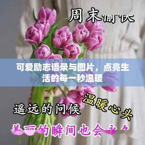 可爱励志语录与图片，点亮生活的每一秒温暖