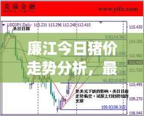 廉江今日猪价走势分析，最新行情解读