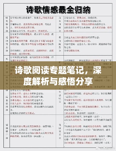 诗歌阅读专题笔记，深度解析与感悟分享