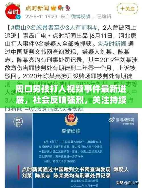 周口男孩打人视频事件最新进展，社会反响强烈，关注持续升级