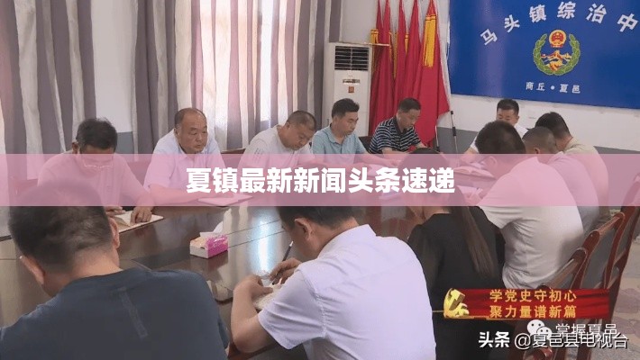 夏镇最新新闻头条速递