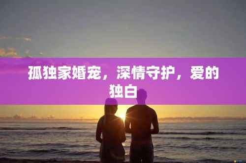 孤独家婚宠，深情守护，爱的独白