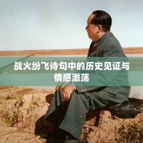 战火纷飞诗句中的历史见证与情感激荡
