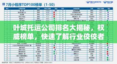 叶城托运公司排名大揭秘，权威榜单，快速了解行业佼佼者！