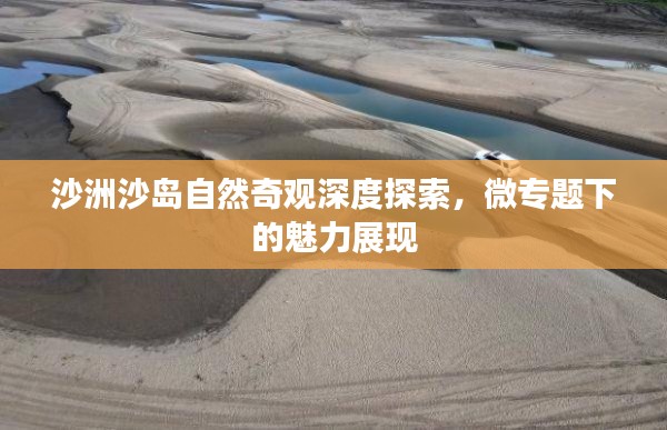沙洲沙岛自然奇观深度探索，微专题下的魅力展现