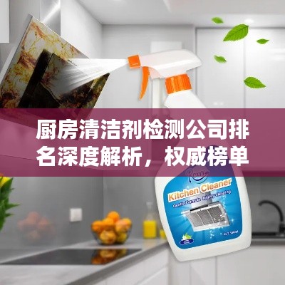 厨房清洁剂检测公司排名深度解析，权威榜单揭秘！