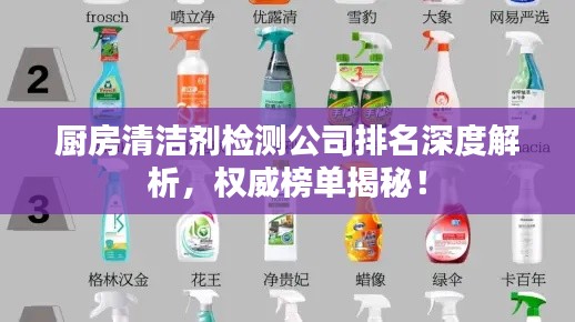 厨房清洁剂检测公司排名深度解析,权威榜单揭秘!