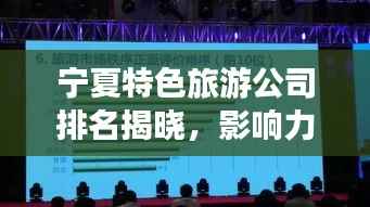 宁夏特色旅游公司排名揭晓,影响力深度解析
