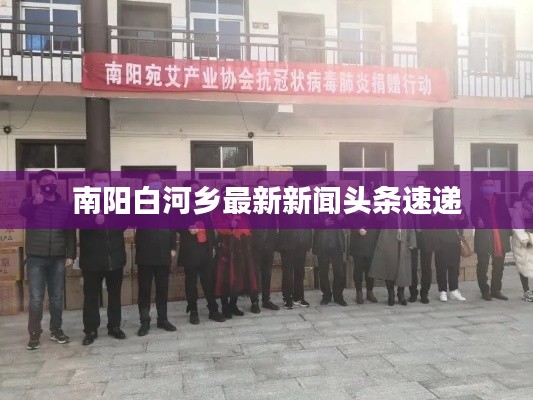 南阳白河乡最新新闻头条速递