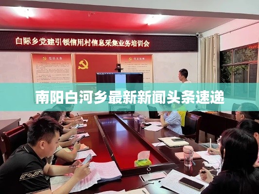 南阳白河乡最新新闻头条速递