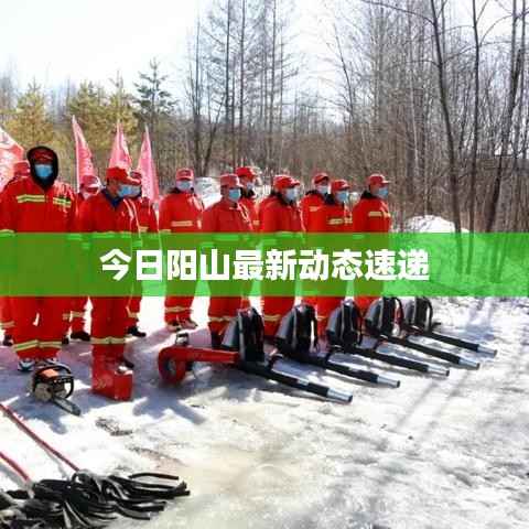 今日阳山最新动态速递