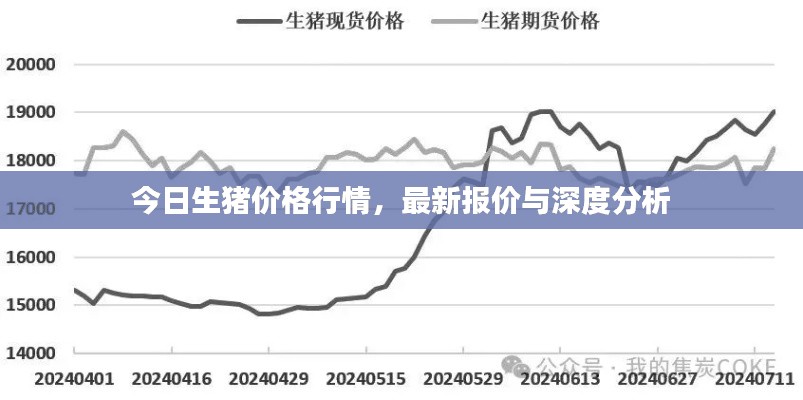 今日生猪价格行情,最新报价与深度分析