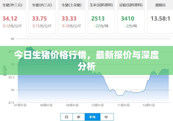 今日生猪价格行情，最新报价与深度分析