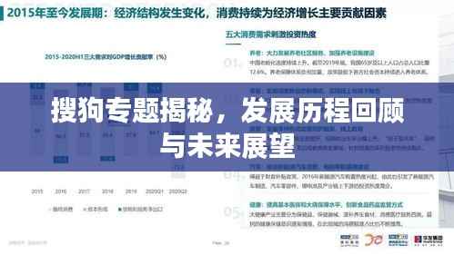 搜狗专题揭秘，发展历程回顾与未来展望