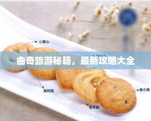 曲奇旅游秘籍，最新攻略大全