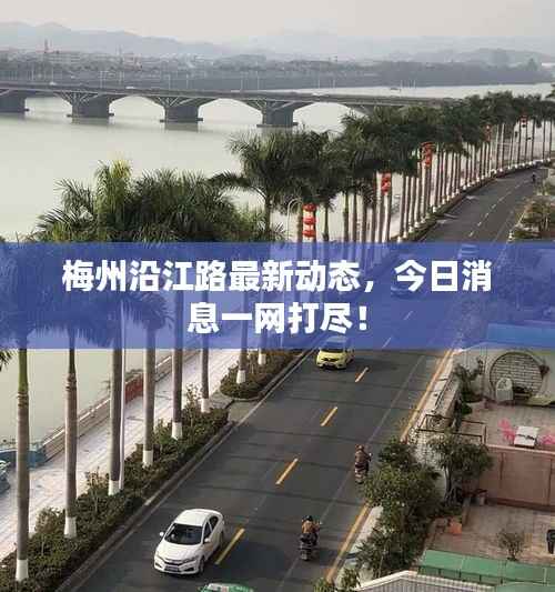 梅州沿江路最新动态，今日消息一网打尽！