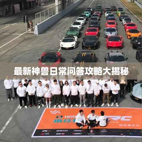 最新神兽日常问答攻略大揭秘