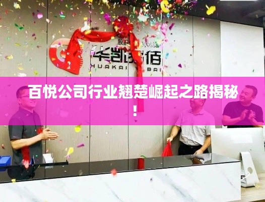百悦公司行业翘楚崛起之路揭秘！