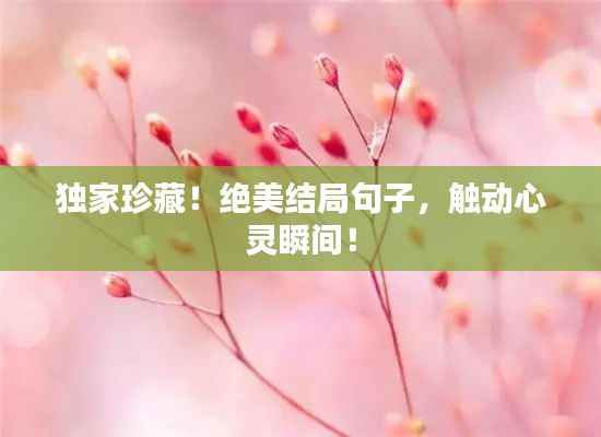 独家珍藏！绝美结局句子，触动心灵瞬间！