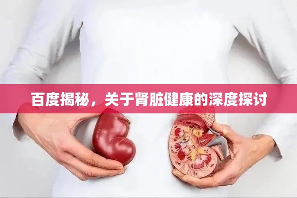 百度揭秘，关于肾脏健康的深度探讨