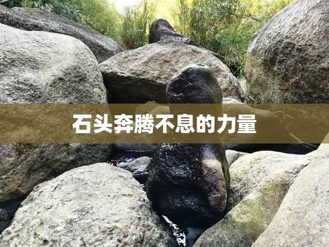 石头奔腾不息的力量