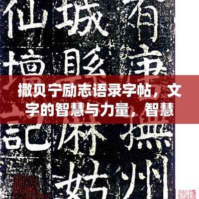 撒贝宁励志语录字帖，文字的智慧与力量，智慧的载体传递正能量！