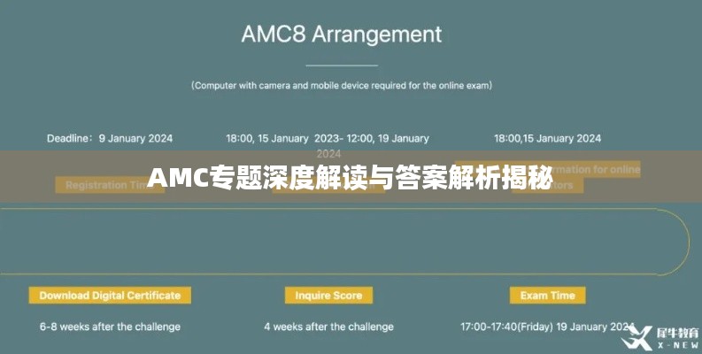 AMC专题深度解读与答案解析揭秘